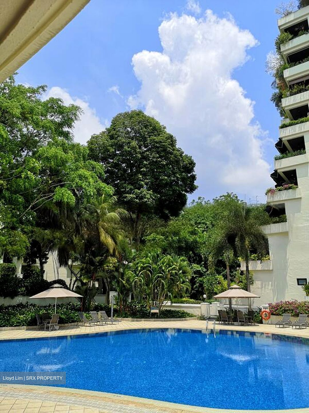 The Arcadia (D11), Condominium #467234781